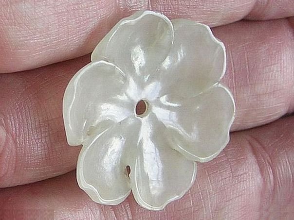Flower  43 - (4096)